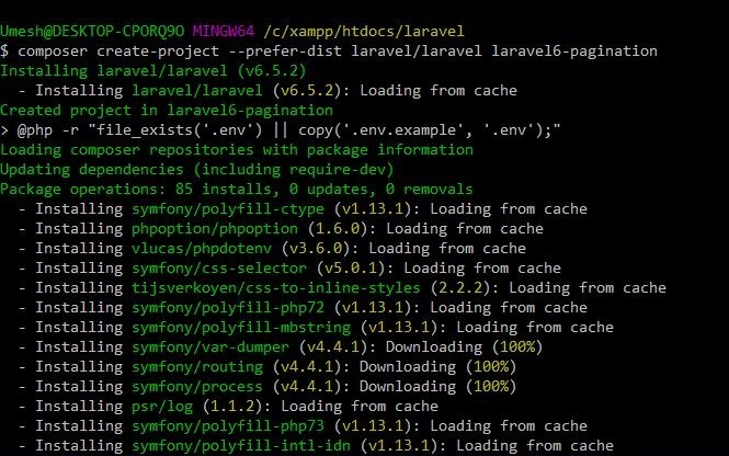 Laravel 6 New Project For Pagination